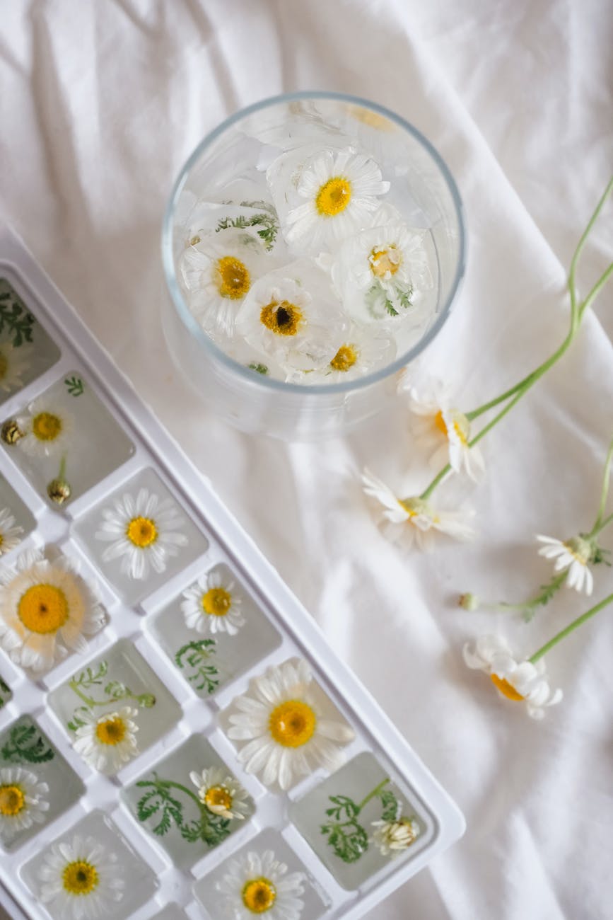 glass of water with chamomile set next to infused ice cubes